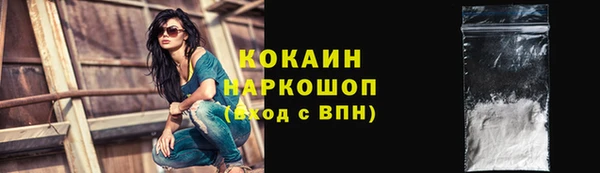 твердый Арсеньев