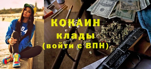 твердый Арсеньев