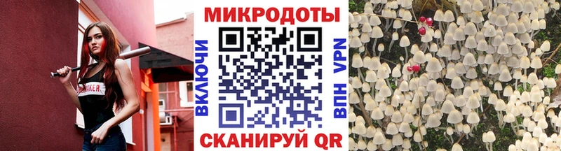 Галлюциногенные грибы Psilocybe  Купить закладки  Волхов 